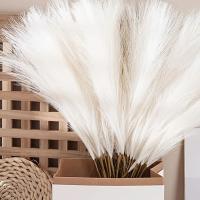 10PCS Ramas De Pampas Blancas Artificiales De 54-55CM Majestuosas Para Decoración De Bodas Hogar Y Bohemia Relleno De Vaso De Piso - details 6
