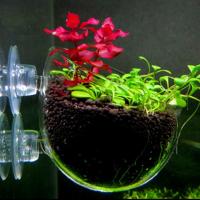 Vaso De Planta Acuática Con Soporte De Absorción Para Acuario Mini Vaso De Red Worm Decoración Para Tanque De Peces Y Aquascape De Vidrio Rojo - details 0