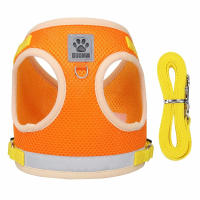Correa Y Arnes Para Perro Y Gato De Malla Transpirable Para Verano Con Reflejos Seguro Para Chihuahua Yorkies Arnes De Cuello Básico Para Mascotas - details 3