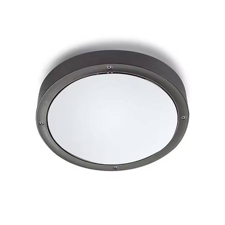LEDS·C4 Plafon Ip66 Basic Aluminium Ø260Mm E27 15W Gris Urbano 523Lm - 1