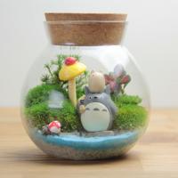 Kit Grande De Terrario En Botella Ecológico Micro Juego De Plantas Y Rios Para Decoración Del Hogar Y Cultivo De Plantas En Vaso De Vidrio Con Moss Y Tanque De Peces - details 1
