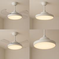 VIVID TORRAL BY  FILUX VENTILADOR DE TECHO BLANCO LED 4 ASPAS RETRACTILES LUZ CCT MOTOR DC SILENCIOSO CONTROL REMOTO FILUX 6 VELOCIDADES 3 TONOS DE LUZ - details 1