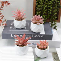 Plantas De Suculentas Artificiales En Macetas Decorativas Falsas De Espinosa Con Macetas Para Decoración Del Hogar Y Jardín - details 1