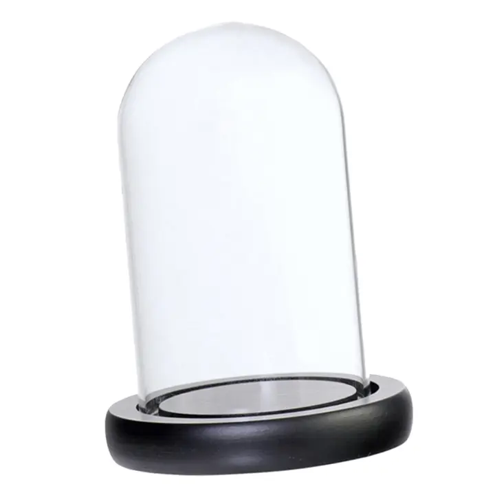 Vaso De Paisaje De Vidrio Transparente Con Base De Madera Juego De Terrario Porta Flores Para Decoración De Hogar Y Boda Navidad DIY - 1