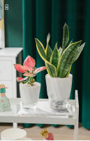Maceta Hidroponía Automática Transparente Doble Capa De Plástico Para Oficina Maceta Self Watering Para Plantas Y Flores - details 8