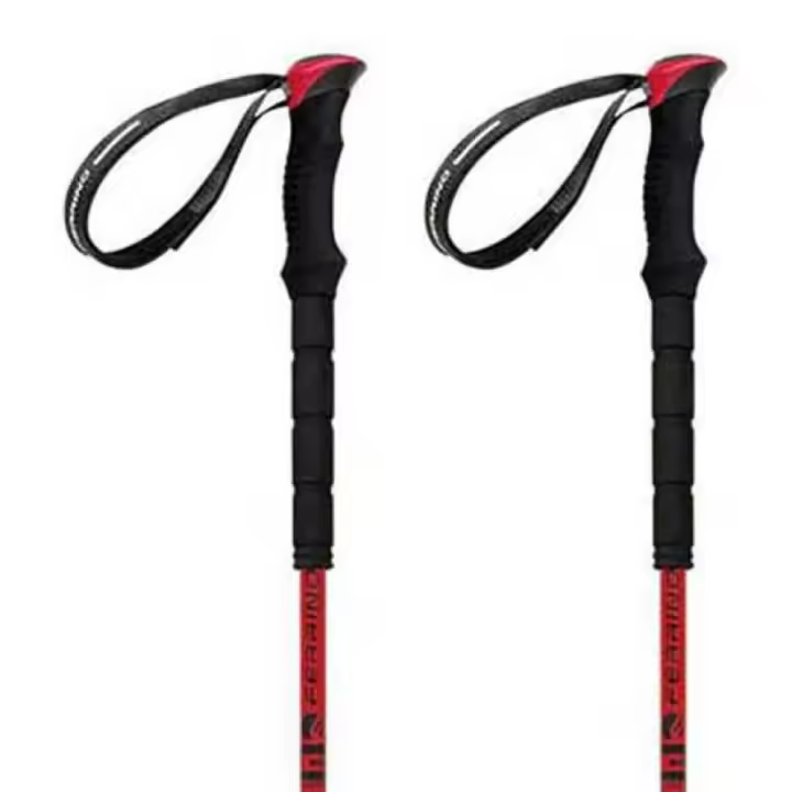 Ferrino Bastones Stick Nuptse Plateado Unisex - 1
