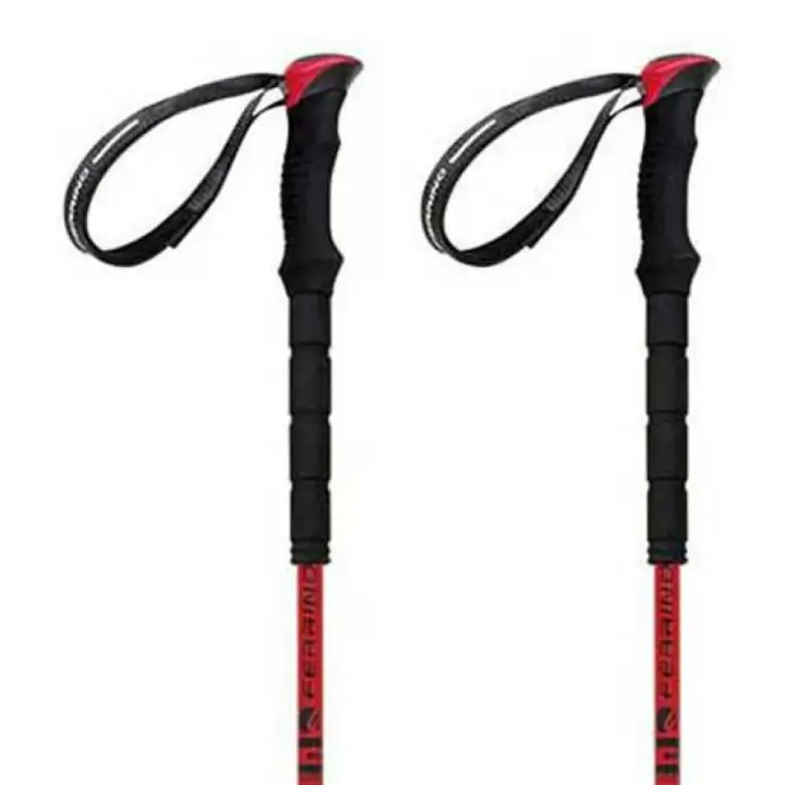 Ferrino Bastones Stick Nuptse Plateado Unisex - 1