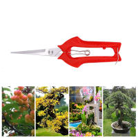 Tijeras De Podar Para Jardín Y Plantas Micro-Tip Afiladas Para Cortar Hojas Herramienta De Jardinería Metálica Plegable - details 2