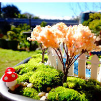 10Pcs Mini Set De Hongos Artificiales 2cm Para Jardín Fae Tiraditos De Moluscos Y Termitas Decoración De Terrario Y Artesanía - details 4