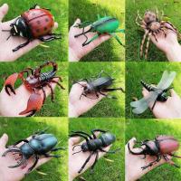 Juguete De Simulación De Pequeño Animal Insecto Antílope Grillos Araña Mariposa Modelo Estatua Para Jardín Y Hogar - details 0