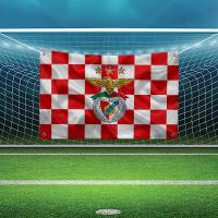Bandera Pequeña De Jardín SL B-benfica-fc Para Decoración De Habitaciones Tablón De Anuncios De Muro Polyester Impresión Single-sided - details 7