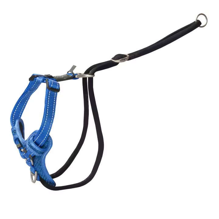 ROGZ ARNES STOP-PULL M  SPSJ11-B - 1