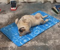 Petic - 80X120cm Manta Alfombra Refrescante Para Perros de Raza Gigante (Pastor Alemán, Mastín) Resistente a Arañazos - details 5