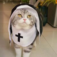 Disfraz De Gato Para Perro Pequeño Ropa De Fiesta Divertida Transpirable Para Todo El Año Accesorios Para Perros - details 2