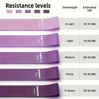 Banner - Set de 5 Bandas Elasticas Musculacion, Bandas Elasticas Fitness con Bolsa Almacenamiento, Moradas