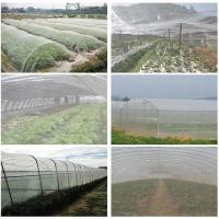 Red De Insectos Y Pájaros a Prueba Para Jardín 60 Malla Protección Para Verduras Frutas Y Flores Invernadero De Plástico PE - details 4