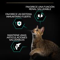 PURINA Pro Plan Adult Renal Plus Pollo - Pienso Para Gatos - - details 2