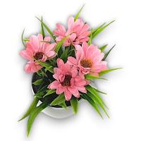 Maceta Margaritas Rosadas Artificiales - 16cm - Karawan. - details 0
