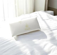 Almohada  viaje viscoelastica maxima transpiracion  2X Almohada de Viaje viscoelástica viajera 45x25 cm Tejido Aloe Vera Anti acaros, Lavable,  viscoelaticos (2X Blanco) - details 1