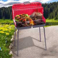 Barbacoa Rectangular de Funda Plegable with Asador Ajustable y Parrilla de 2 Nivel Barbacoa de Carbón Plegable para Picnic en Aire Libre - details 0