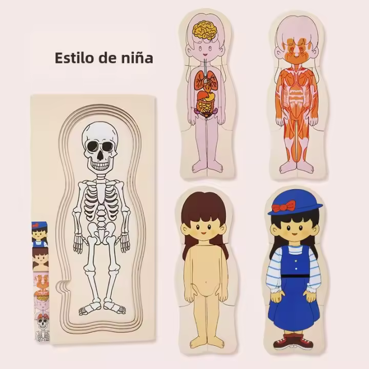 Puzzle De Madera Multicapa De La Estructura Del Cuerpo Montessori Juego De Rompecabezas Educativo Para Niños Y Niñas Desde 3 Años - 1