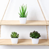 3 Macetas De Plantas Simuladas Pequeñas Para Decoración De Oficinas Salones De Estar Ventanas Jardines Y Courtyards - details 4