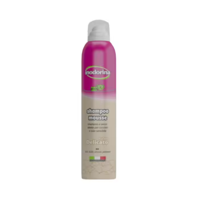 Inodorina Champú En Seco 300Ml Suave - 1