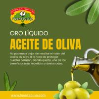Pack de 4 botellas de Aceite de Oliva Virgen Extra 5 litros Fuenteoliva cosecha 24/25 - details 0
