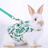 Conjunto De Ropa Para Mascotas Estilo Impresión Transpirable Para Conejos Y Perros Uso Al Aire Libre Correa Y Collar Personalizado - details 15