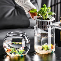 Maceta Autoabastecida Transparente De Plástico Para Plantas Y Acuarios Decoración Moderna Para Sala De Estar Y Oficina - details 1