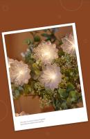 Luces De Garland LED Para Jardín Dormitorio Y Fiesta Navidad Y Año Nuevo Decoración De Flores Y Hadas Batería Incluida - details 11