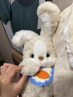 Muñeco De Peluche De Conejo Del Zodíaco Regalo De Cumpleaños O Día De San Valentín Para Niñas Muñeco De Algodón PP Suave Figura De Conejo Dormido - details 1