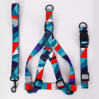 Juego De 3 Piezas Para Perros Abstracto Correa Y Correa De Anzuelo Con Arnes De Cuello En Nylon Para Caminar - details 0