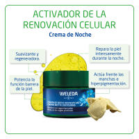 Weleda Crema de Noche Redensificante de Genciana Azul y Edelweiss 40ml - details 0