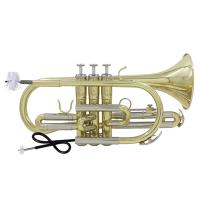 Cepillo De Limpieza Para Trompeta Corneta Y Fagot Cuerda De Limpieza Con Cepillo De Acero Inoxidable Herramienta De Mantenimiento Para Boquilla - details 4