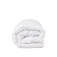 INTERBABY SET DE 2 PIEZAS FUNDA NORDICA CON RELLENO + CHICHONERA MODELO  LEON PALMERA - details 2