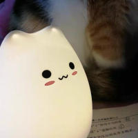 Lámpara Nocturna Para Bebé De Gato Mini Popular 7 Colores Toque Cambio De Color Protección Ocular Luz De Noche Para Dormitorio Regalo Para Niños - details 0