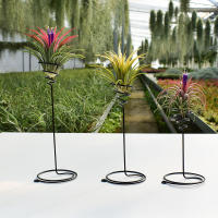 3Pcs Soporte De Planta De Metal En Forma De Piña Para Decoración De Balcón Y Hogar Estuche De Regalo Para Amantes De La Naturaleza - details 0