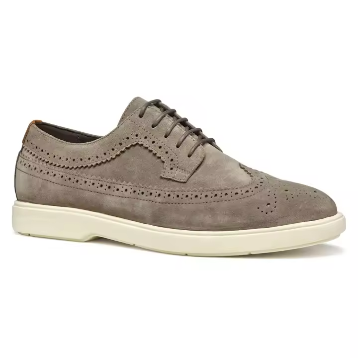 Calzado hombre Zapatos Geox Zapatos Spherica Ec17 Gris - 1
