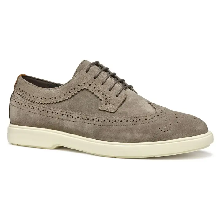 Calzado hombre Zapatos Geox Zapatos Spherica Ec17 Gris - 1
