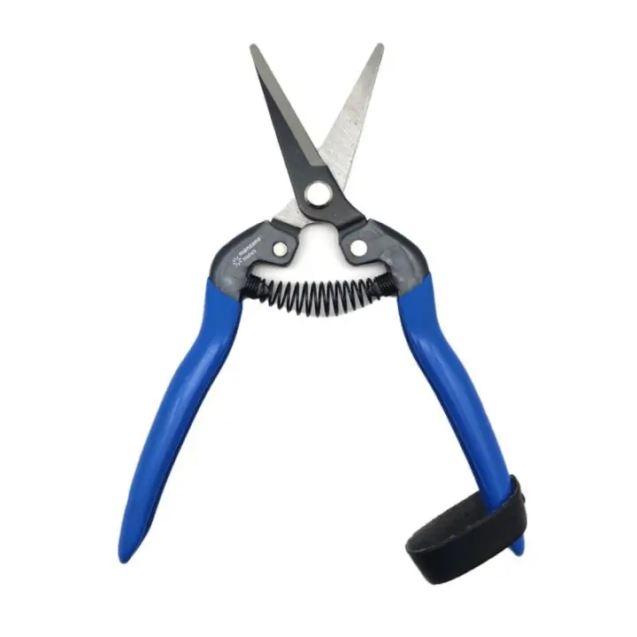 Tijeras de Jardineria Manzana-Nules tico-m110c Recolección de fruta y verdura - 1