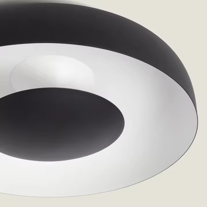 Ledkia Plafón de Techo LED 20W Metal Duval Negro - 1