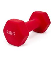 Mancuerna de Acero Cubierta en Vinilo Antideslizante de 6kg para Ejercicios en Casa y Musculación - details 0