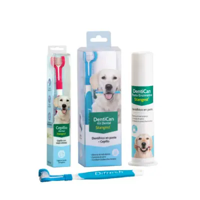 DENTICAN KIT DENTAL- CEPILLO + PASTA - 1