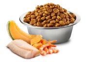 FARMINA N&D CAT KITTEN OCEAN BACALAO CALABAZA 5KG - details 1