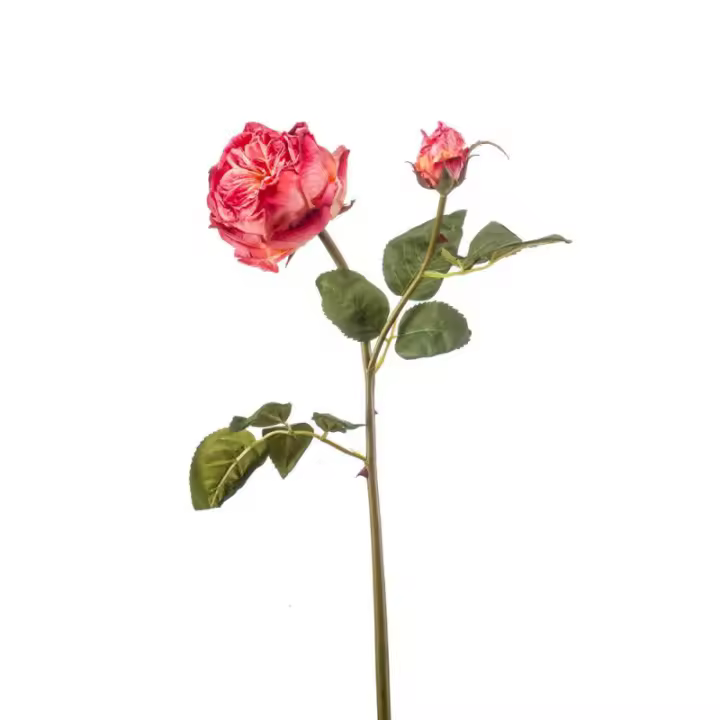 Planta Artificial Rosa Inglesa Ramificada 55cm - Realista y Duradera - 1