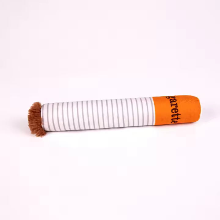 Juguete De Peluche Interactivo Divertido Para Perros Caja De Cigarrillos Juguete Masticable Creativo Regalos Para Mascotas Material De Felpa Origen China - 1