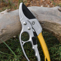 Tijeras De Podar Con Hoja De Acero Y Mango Ergonómico Herramienta De Jardinería Para Plantas Y Árboles Kit De Podar - details 9
