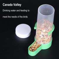 Alimentador Y Bebedero Automático Para Pájaros De Jaula Suministros Para Periquitos Y Papagayos Copas De Agua Automáticas Botella Alimentadora Para Pájaros - details 11