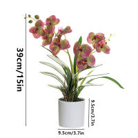 Orquídea Artificial Phalaenopsis En Maceta Planta Verde Para Jardín Oficina Hogar Bodas Y Decoración Interior Estilo Bonsái - details 2